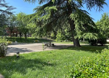 Giardino - Appartamento Via Benedetto Marcello 2/2, Bologna (zona Savena) - foto 4