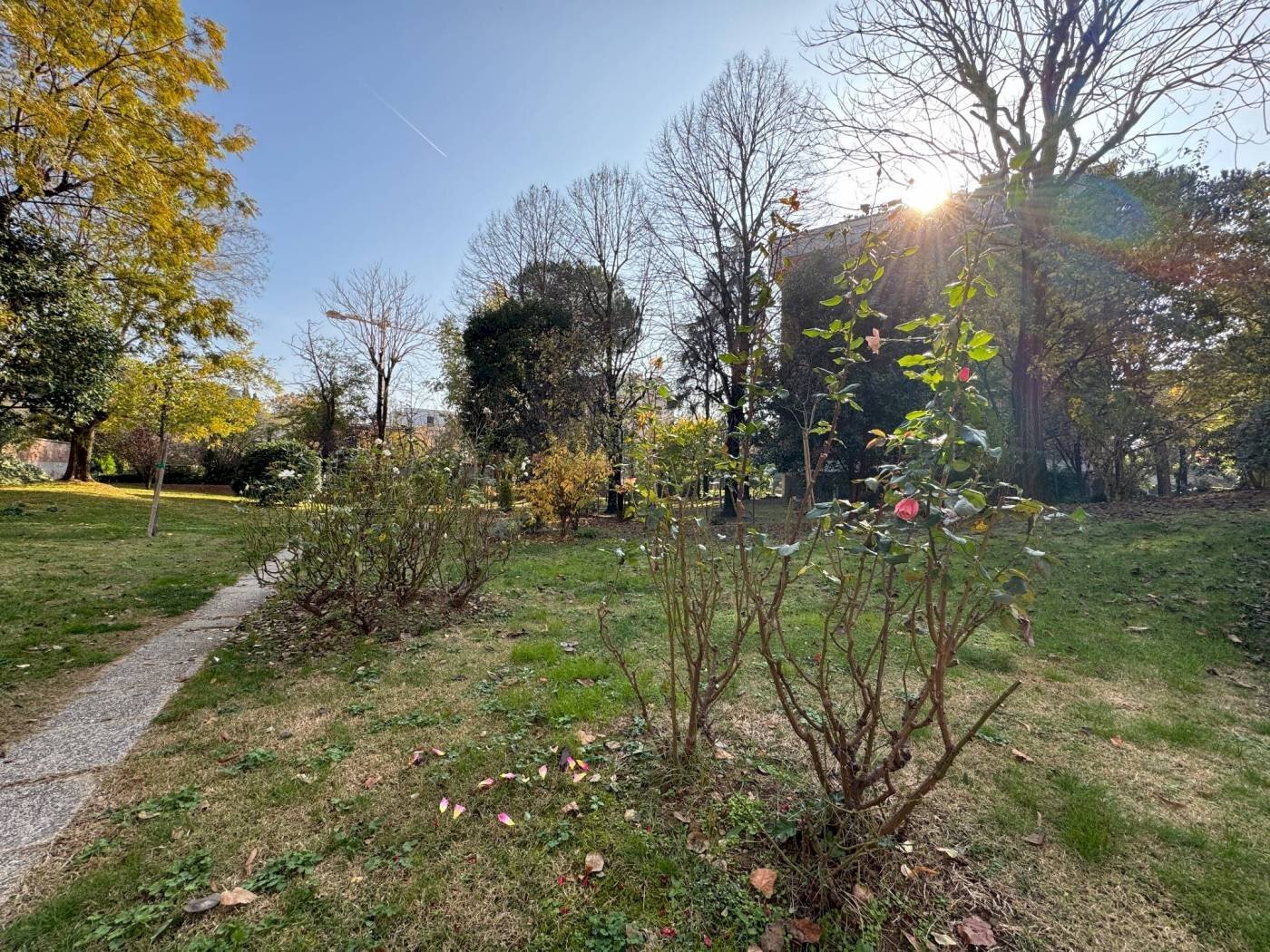 Terreno - Appartamento Via Bonavia 10, 10, San Lazzaro di Savena - foto 1
