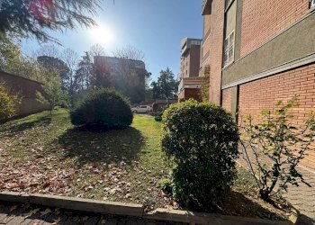 Giardino - Appartamento Via Bonavia 10, 10, San Lazzaro di Savena - foto 3