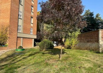 Giardino - Appartamento Via Bonavia 10, 10, San Lazzaro di Savena - foto 4