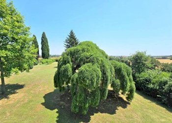 Vista - Villa Via del Pino, Ozzano dell'Emilia - foto 16