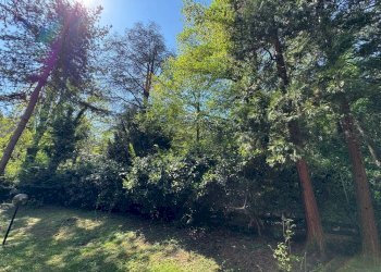 Terreno - Appartamento Via Siepelunga, Bologna (zona Murri) - foto 5