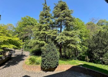 Giardino - Appartamento Via Siepelunga, Bologna (zona Murri) - foto 36