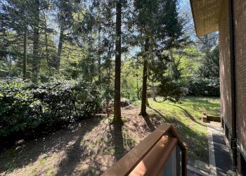 Giardino - Appartamento Via Siepelunga, Bologna (zona Murri) - foto 49