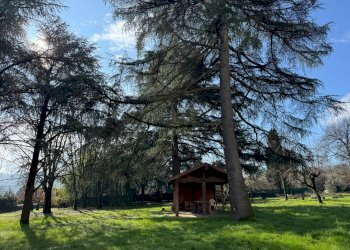 Terreno - Villa Unifamiliare Via Carlo Jussi, San Lazzaro di Savena - foto 7