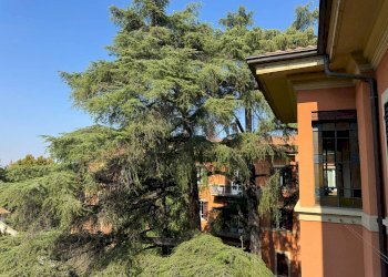 Vista - Appartamento Via Castiglione, Bologna (zona Santo Stefano) - foto 4