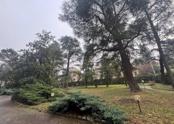 Giardino - Monolocale Via Castiglione, Bologna (zona Santo Stefano) - foto 2