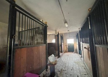 Interno non residenziale - Rustico Via del Pino, Ozzano dell'Emilia - foto 10