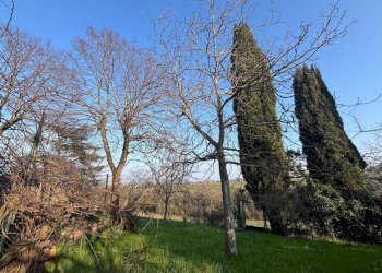 Terreno - Rustico Via del Pino, Ozzano dell'Emilia - foto 11