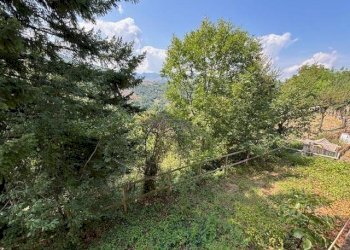 Terreno - Villa Unifamiliare Via Vittime Rapido 904, San Benedetto Val di Sambro - foto 6