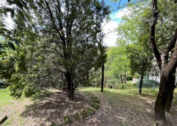 Terreno - Single Family Villa Via Bruno Buozzi, Pianoro - photo 7