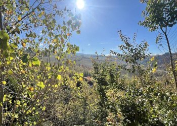 Vista - Single Family Villa Via Bruno Buozzi, Pianoro - photo 30