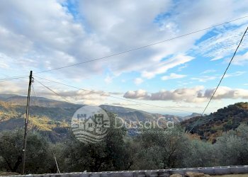 Rustico strada provinciale 68, snc, Dolceacqua - foto 8