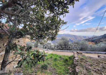 Rustico strada provinciale 68, snc, Dolceacqua - foto 22