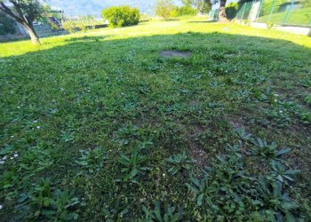 Foto 36 - Villa via macchia monteggiorini, Camaiore - foto 36