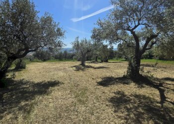 Foto 4 - Building land CONTRADA COLLI, Rosciano - photo 4