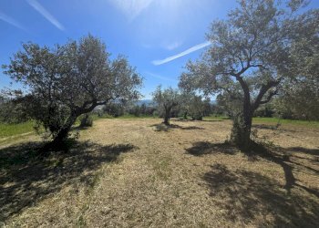Foto 5 - Building land CONTRADA COLLI, Rosciano - photo 5