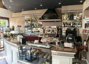 Foto 1 - Bar Tavola Calda - Fredda via varese
 
29, Saronno - foto 1