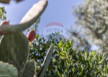 Dettagli - Casa semi indipendente Via Leonardo Patrasso, Roma - foto 5