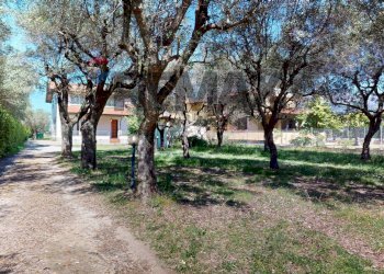 Giardino - Villa Pietrasanta - foto 37