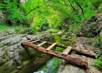 Giardino - Rustic Località Borgo Magliano
 
32, Fivizzano - photo 31