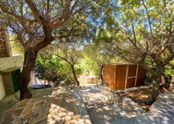 Giardino - Villa Quartu Sant'Elena - foto 26