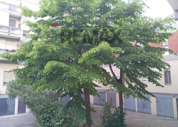 Edificio all\'aperto - Three-room apartment Via Ariosto
 
41, Mantova - photo 10