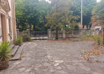 Giardino - Appartamento Vittorio Veneto - foto 8