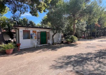 esterno reception - Residence Località Lama le Canne
 
snc, Vieste - foto 2