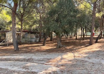 camping - Residence Località Lama le Canne
 
snc, Vieste - foto 9
