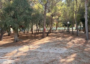 camping - Residence Località Lama le Canne
 
snc, Vieste - foto 10