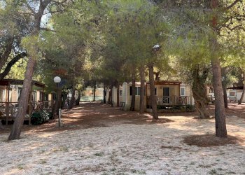 camping - Residence Località Lama le Canne
 
snc, Vieste - foto 12