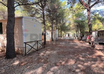 camping - Residence Località Lama le Canne
 
snc, Vieste - foto 27