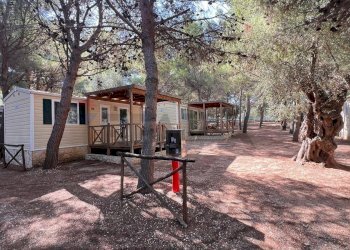 camping - Residence Località Lama le Canne
 
snc, Vieste - foto 28