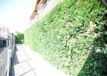 Foto 21 - Bilocale Via Castagnole
 
5, Volvera - foto 21