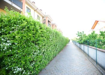 Foto 24 - Quadrilocale Via Risorgimento
 
15, Volvera - foto 24