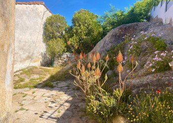 Foto 4 - Trilocale Marciana - foto 4