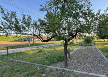 Foto 16 - Villa Concordia sulla Secchia - foto 16