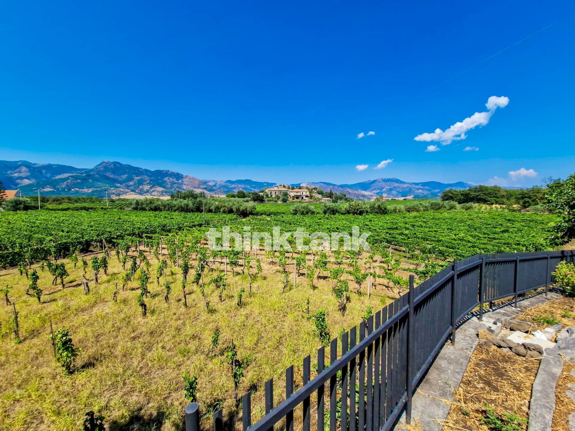 Foto 1 - Villa Verzella, Castiglione di Sicilia - foto 1