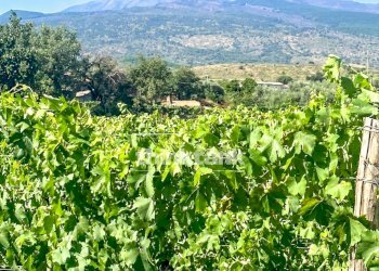 Foto 8 - Villa Verzella, Castiglione di Sicilia - foto 8