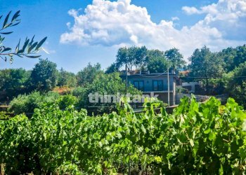 Foto 6 - Villa Verzella, Castiglione di Sicilia - photo 6