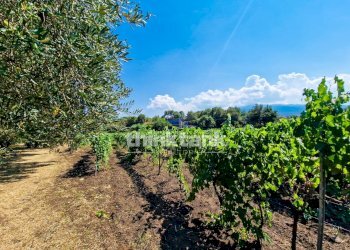 Foto 30 - Villa Verzella, Castiglione di Sicilia - photo 30