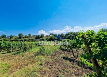 Foto 31 - Villa Verzella, Castiglione di Sicilia - photo 31