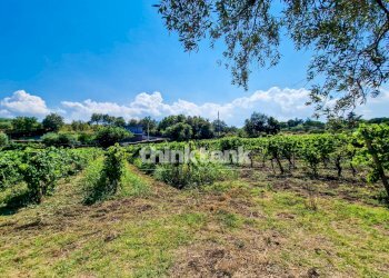 Foto 33 - Villa Verzella, Castiglione di Sicilia - photo 33