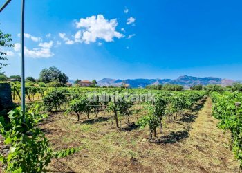 Foto 35 - Villa Verzella, Castiglione di Sicilia - photo 35