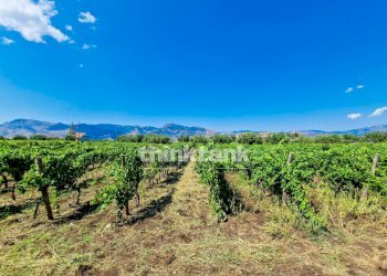 Foto 36 - Villa Verzella, Castiglione di Sicilia - photo 36