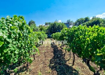Foto 37 - Villa Verzella, Castiglione di Sicilia - photo 37