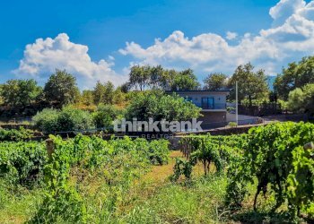 Foto 38 - Villa Verzella, Castiglione di Sicilia - photo 38