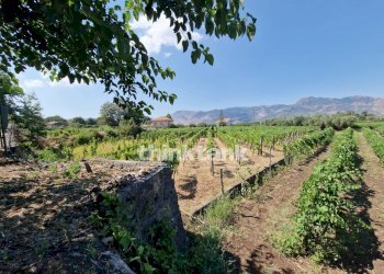 Foto 39 - Villa Verzella, Castiglione di Sicilia - photo 39