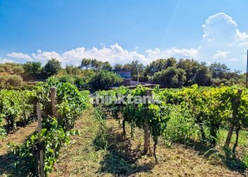 Foto 50 - Villa Verzella, Castiglione di Sicilia - photo 50